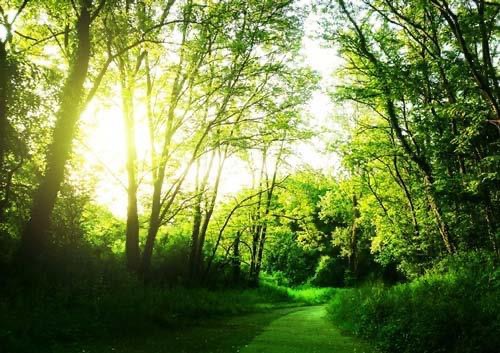 Illustration Didaskalia – Où est le chemin